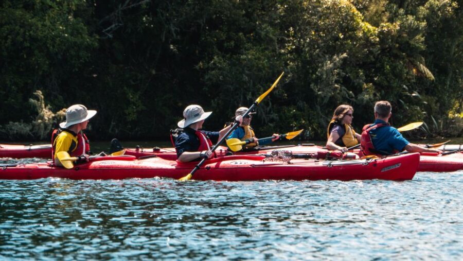 Tauranga: Daytime Scenic Lake McLaren Kayak Tour - Easy pace on Lake McLaren: birds, reflections, and cliff edges