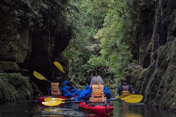 Tauranga Daytime Scenic Lake McLaren Tour - Key Highlights You’ll Actually Notice