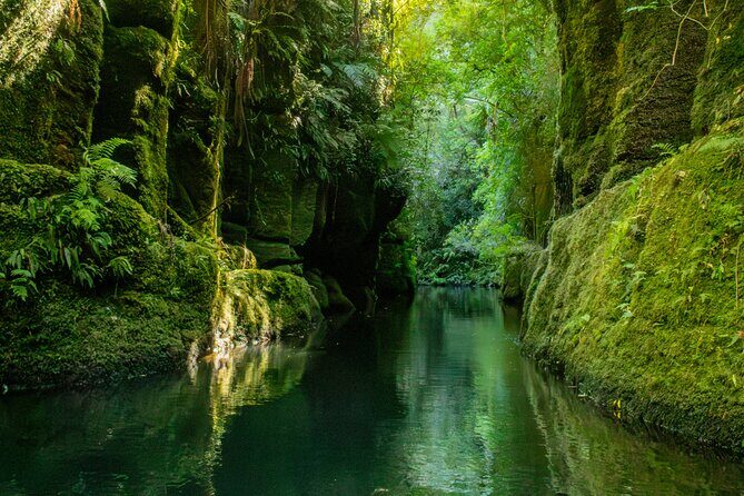 Tauranga Daytime Scenic Lake McLaren Tour - Why Mangapapa Canyon Is the Main Character Here