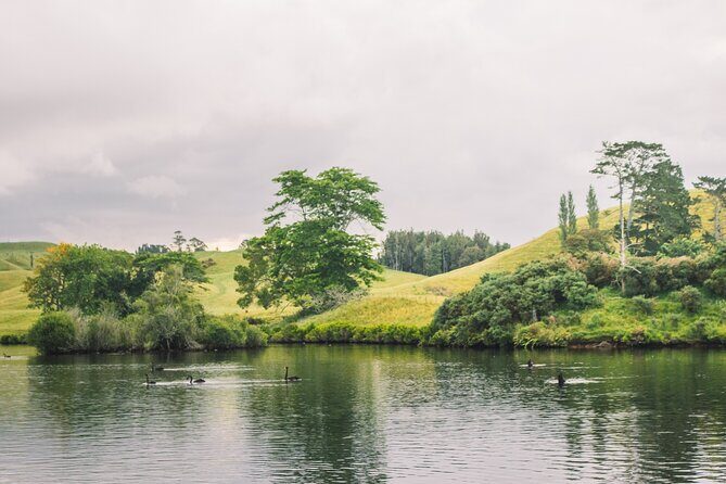 Tauranga Daytime Scenic Lake McLaren Tour - Canoe vs Kayak: The One Detail That Can Change Your Day