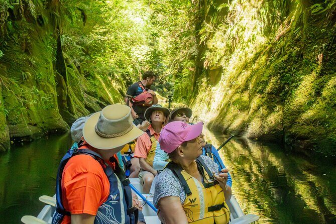 Tauranga Daytime Scenic Lake McLaren Tour - The 3.5 Hours: What the Timing Feels Like on the Water