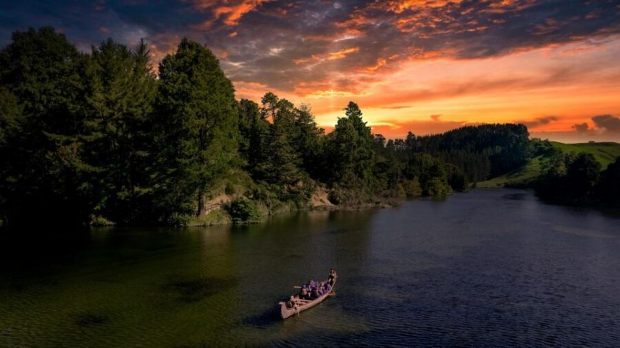 Tauranga: Evening Big Kanu Glowworm Tour - Glowworms explained: science, and the culture layer your guide brings