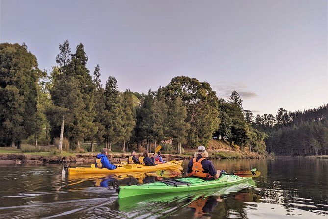 Tauranga: Evening Glowworm Kayak Tour - Gear, warmth, and the no-denim rule (seriously)