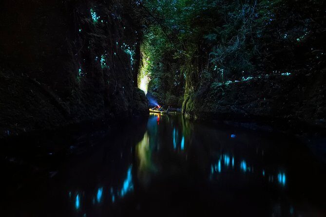 Tauranga: Evening Glowworm Kayak Tour - Returning under stars: what to watch for on a clear night