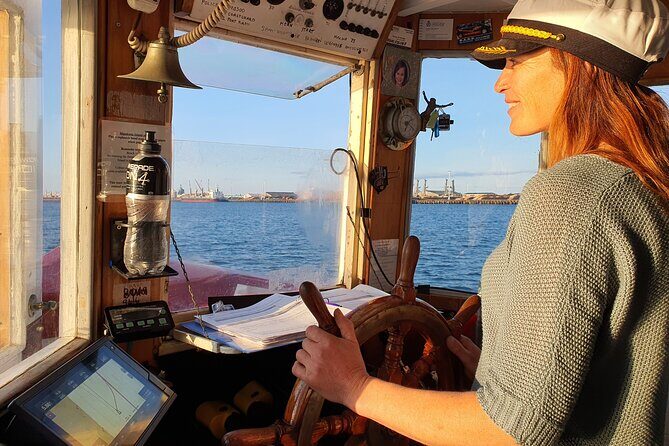 Tauranga Harbour Scenic One Hour Historical Boat Cruise - Wildlife Chances in Tauranga Harbour: What’s Realistic