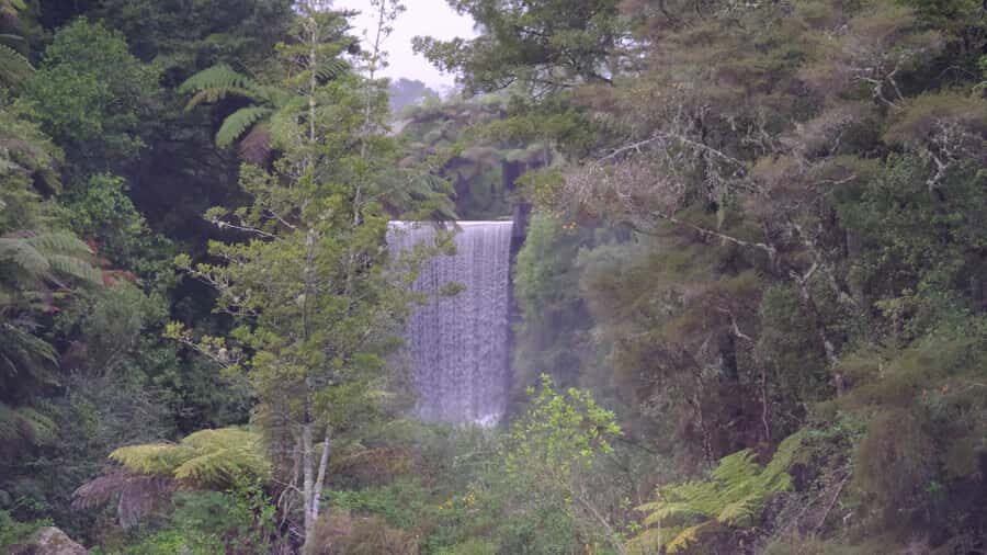 Tauranga: Kiwifruit Destination and Sights Shore Excursion - Key highlights you’ll care about