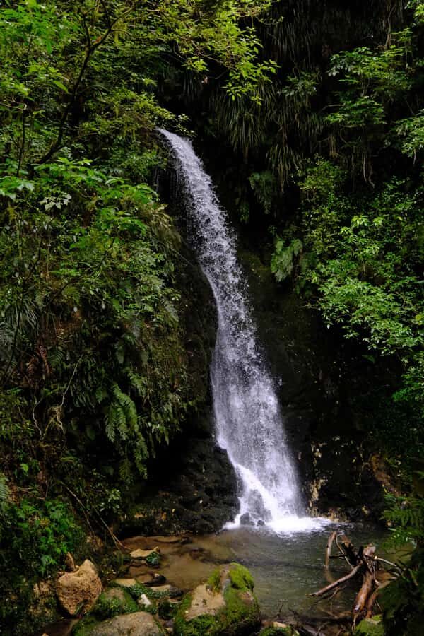 Tauranga: Kiwifruit Destination and Sights Shore Excursion - A cruise-ship friendly Tauranga day in about 4.5 hours