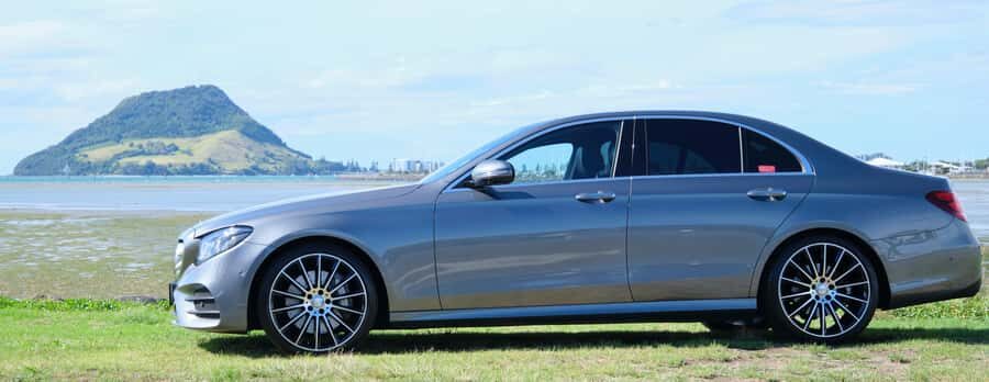 Tauranga: Kiwifruit Destination and Sights Shore Excursion - Private organic kiwifruit and avocado orchard: what you’ll learn