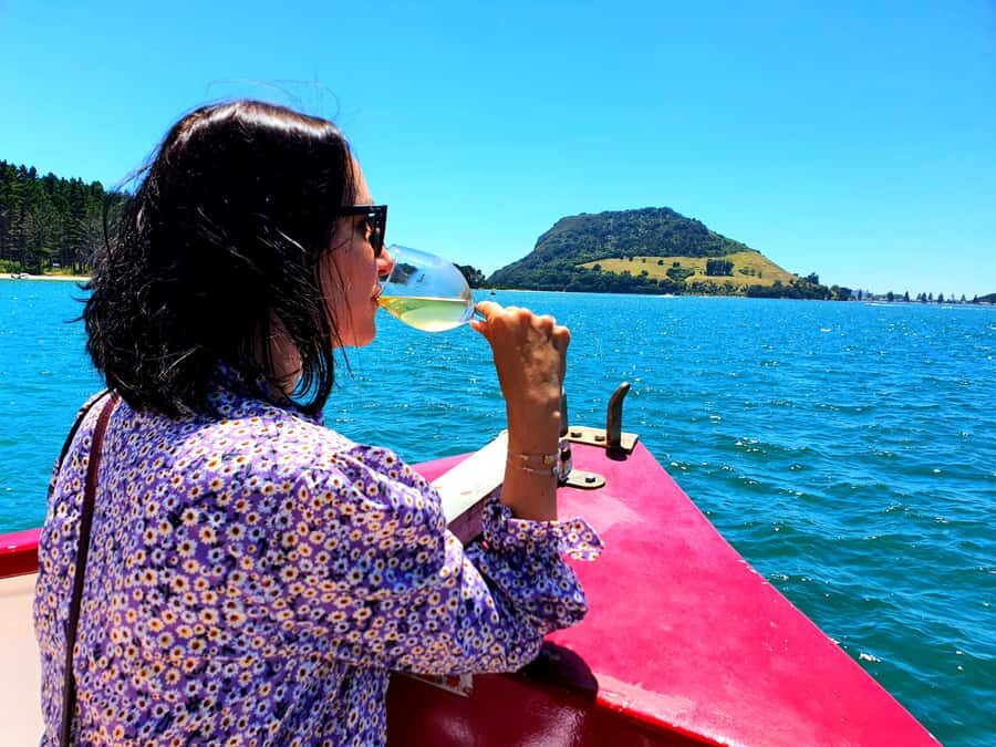 Tauranga: Mount Maunganui Harbour Sightseeing Cruise - Boarding the 70-Year-Old Kewpie Ferry from the Tauranga Wharf