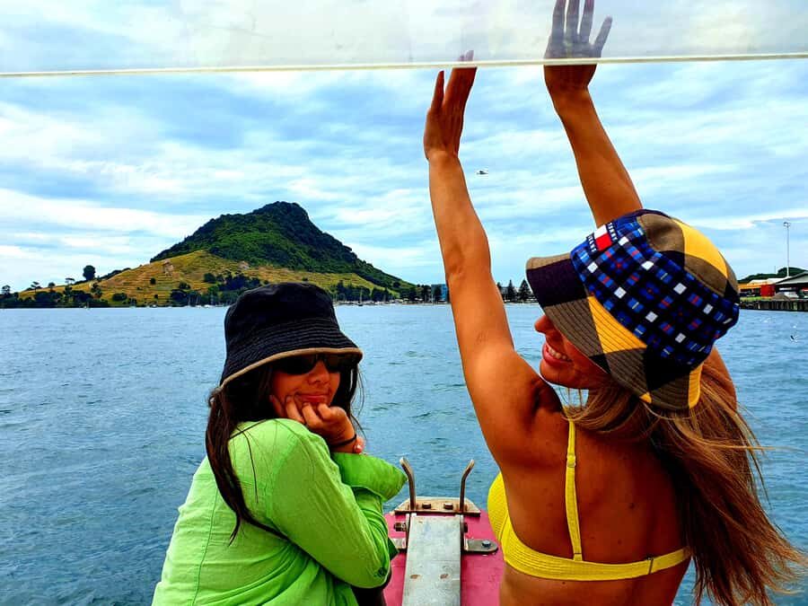 Tauranga: Mount Maunganui Harbour Sightseeing Cruise - Wildlife Search on the Water: NZ Fur Seals and Blue Penguins