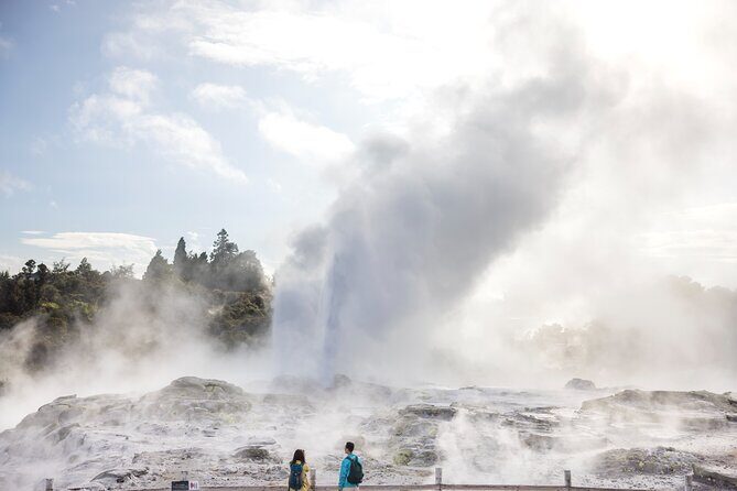 Tauranga Private Excursion: Rotorua -Te Puia-Geysers & Kiwi's - Key highlights worth carving out time for