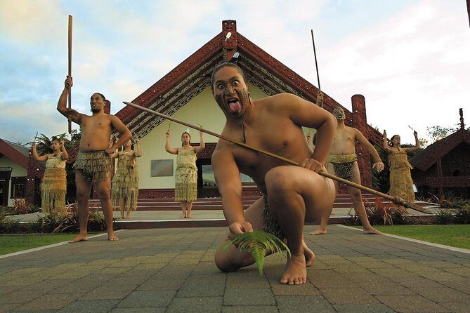 Tauranga Private Excursion: Rotorua -Te Puia-Geysers & Kiwi's - Kiwi House after the lights: why this part feels special