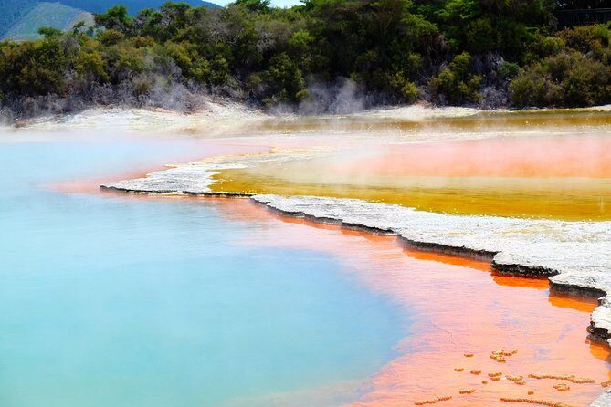 Tauranga Private Tour - Rotorua Geysers & Wai O Tapu Wonderland. - Highlights You’ll Want To Know Before You Go