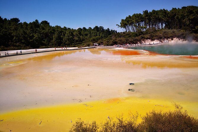 Tauranga Private Tour - Rotorua Geysers & Wai O Tapu Wonderland. - Rotorua in One Day: Why Wai-O-Tapu + Te Puia Works