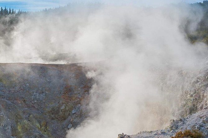 Tauranga Private Tour - Rotorua Geysers & Wai O Tapu Wonderland. - Te Puia Geysers: Pohutu Eruption and Maori Culture in Real Time