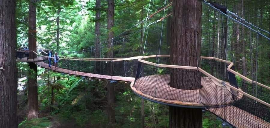 Tauranga: Rotorua Redwoods Tour & Maori Village Experience - Redwood Canopy Treewalk: where the redwoods do the talking