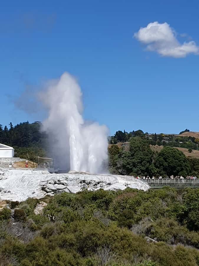 Tauranga: Rotorua Redwoods Tour & Maori Village Experience - What’s with the lunch, snacks, and coffee moments?