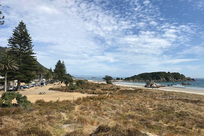 Tauranga Shore Excursion: History & Kiwifruit Tasting – 4 Hours - Small Group Logistics: Pickup, Pace, and the Guide Factor
