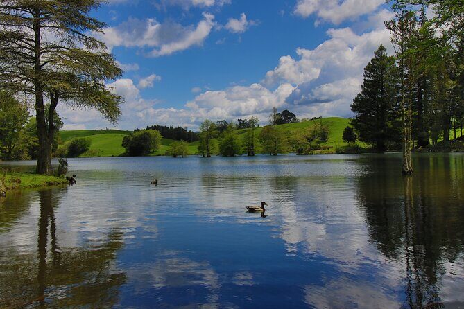 Tauranga Shore Excursion: Top Half Day Curated Highlights Tour - Key highlights worth getting excited about