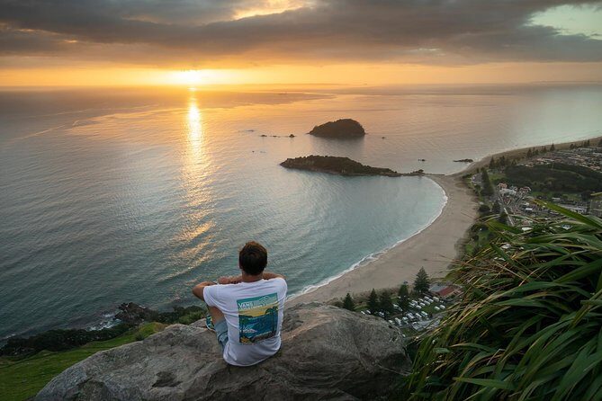 Tauranga Shore Excursion: Top Half Day Curated Highlights Tour - Value and pacing: why this half-day tour works for cruise time