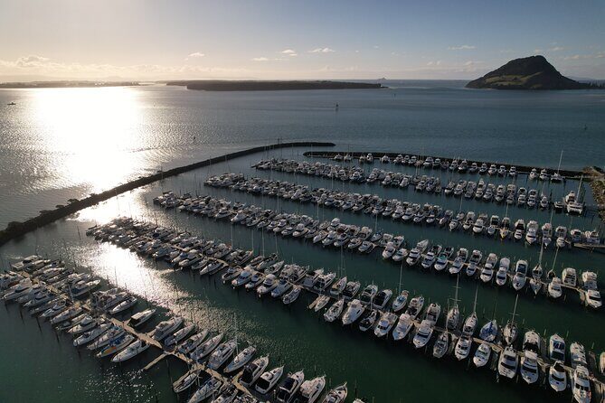 Tauranga Shore Excursion: Top Half Day Curated Highlights Tour - Minden Lookout: Bay of Plenty views and an easy photo window