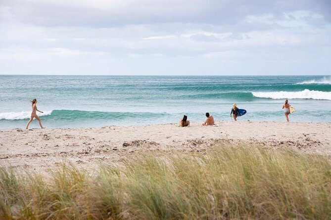 Tauranga Shore Excursion: Top Half Day Curated Highlights Tour - Mount Maunganui to Tauranga City: start with the coast, then head inland