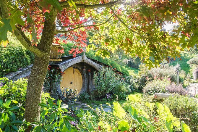 Tauranga to Magical Hobbiton Movie Set - Private Shore Excursion - Key things to know before you go