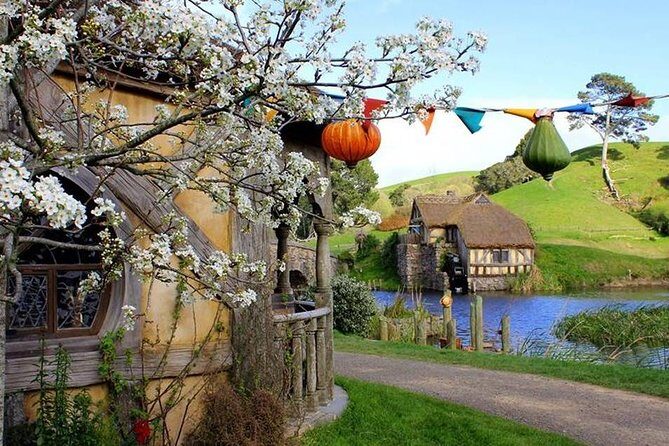 Tauranga to Magical Hobbiton Movie Set - Private Shore Excursion - Timing your day: pickup window and what to prepare for