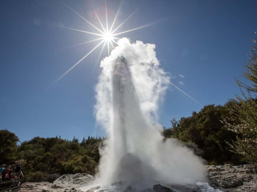 Tauranga: Wai-o-Tapu with Redwood Forest Walk or Forest Spa - Key highlights that shape the day