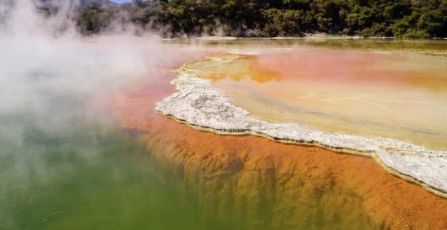 Tauranga: Wai-o-Tapu with Redwood Forest Walk or Forest Spa - From Tauranga Cruise Port to Rotorua: the drive you can enjoy