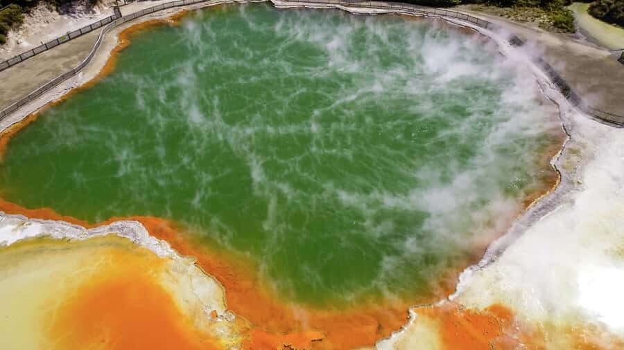 Tauranga: Wai-o-Tapu with Redwood Forest Walk or Forest Spa - A short Rotorua district pause: scenery plus context