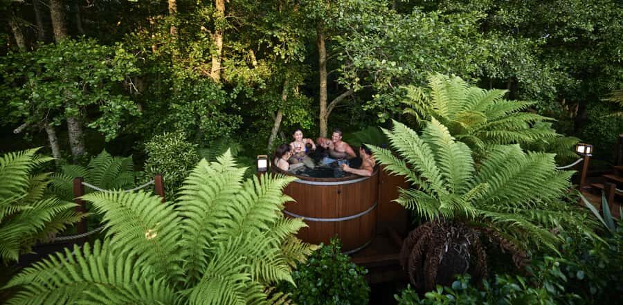 Tauranga: Wai-o-Tapu with Redwood Forest Walk or Forest Spa - Small-group value with Meg and Peter: how the day stays personal