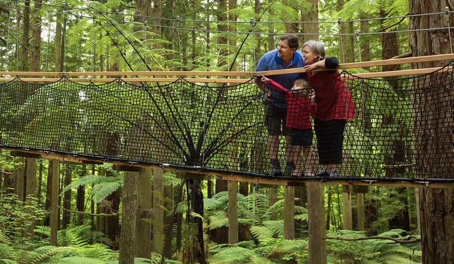 Tauranga: Wai-o-Tapu with Redwood Forest Walk or Forest Spa - Price and logistics: is $166 worth it for a cruise shore day?