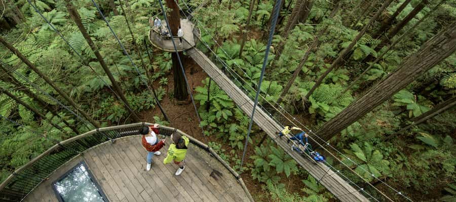 Tauranga: Wai-o-Tapu with Redwood Forest Walk or Forest Spa - Should you book this Tauranga Wai-o-Tapu and Redwood Forest day?