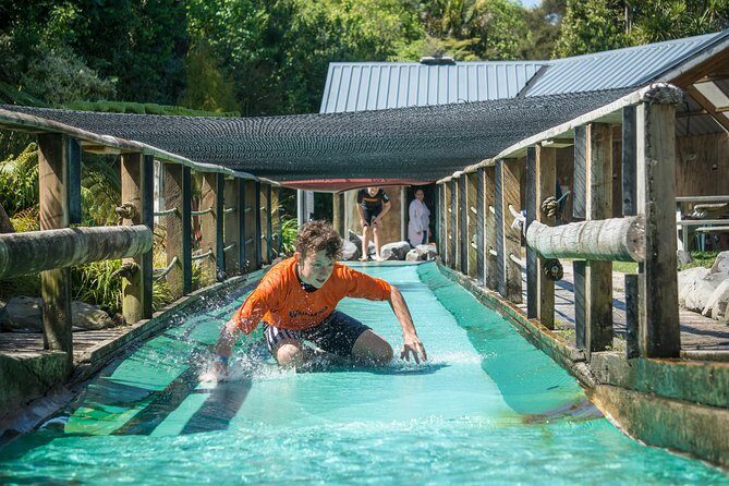 Tauranga: Waimarino Adventure Park - Your water menu: trampoline, BLOB, slip surfaces, and the kayak slide