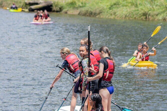 Tauranga: Waimarino Adventure Park - Thermal pool and BBQ time: how to pace the day so everyone lasts