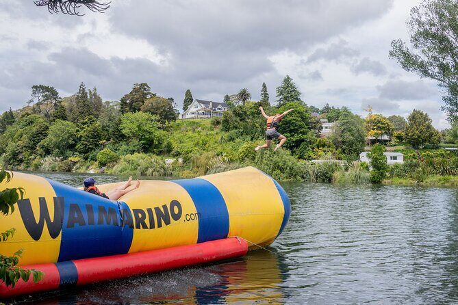 Tauranga: Waimarino Adventure Park - Supreme Pass value: unlimited play without the full-day logistics headache