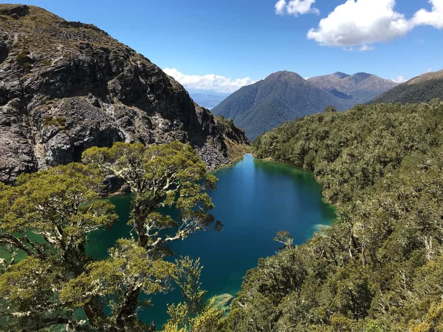 Te Anau: 30-Minute Fiordland National Park Scenic Flight - Key highlights that matter before you book