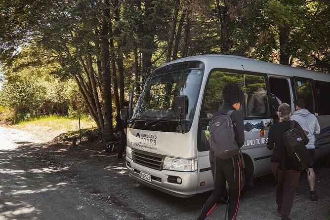 Te Anau Jetboat Experience, Kepler Guided Hike, Transport & Lunch - Trout-spotting on the river: what to do with your eyes