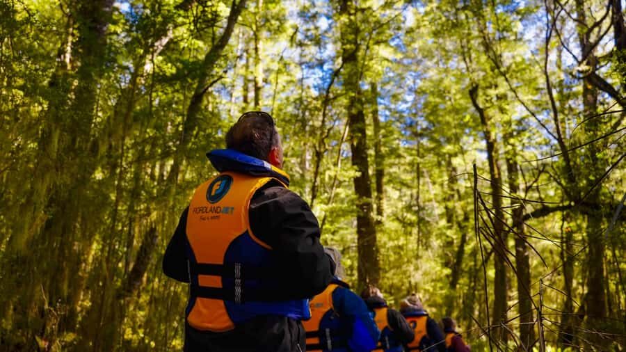 Te Anau: River Jet Boat and Bike Ride Tour with Local Guide - Lake Manapouri: the scenery shift that makes the whole day click