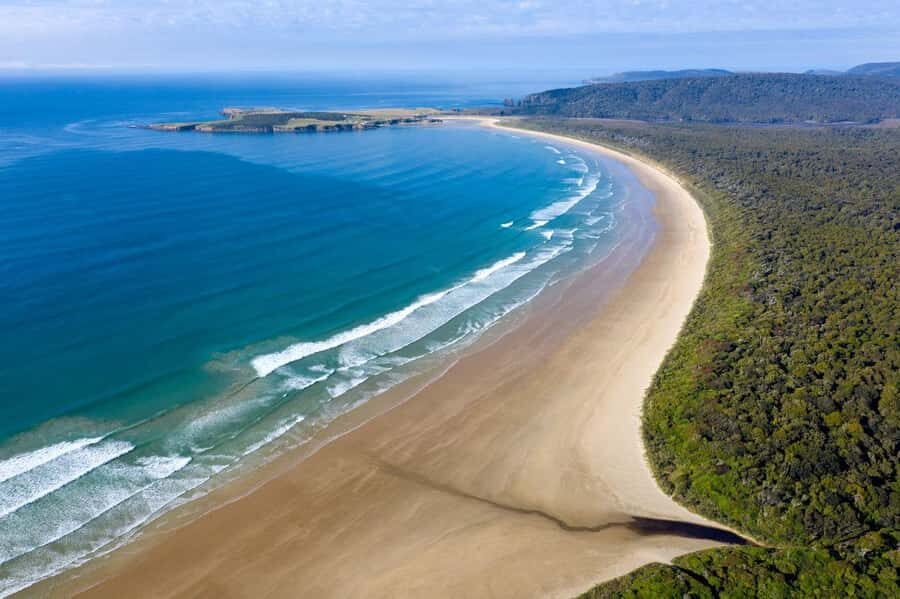Te Anau to Dunedin via the Catlins & Invercargill 1 Way Tour - Key points before you go