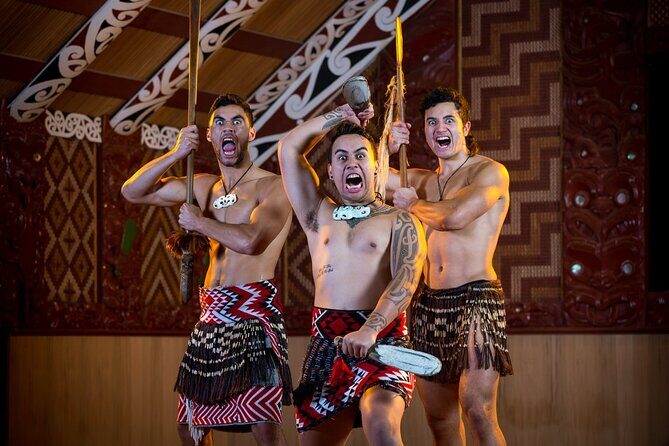 Te Puia Geothermal, Kiwi and Māori Art - From Port of Tauranga to Rotorua, in a day that actually fits