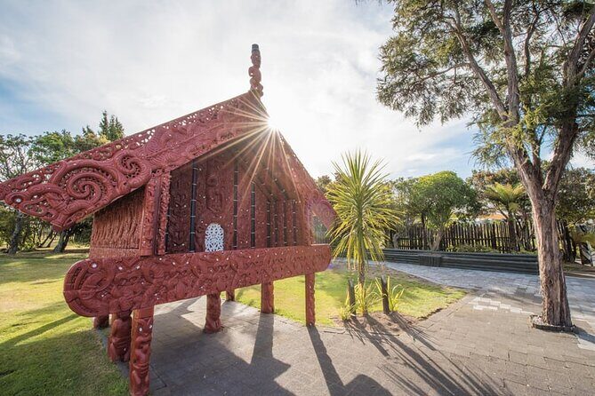 Te Puia Geothermal, Kiwi and Māori Art - Lunch in Rotorua: plan for the one thing that is not included