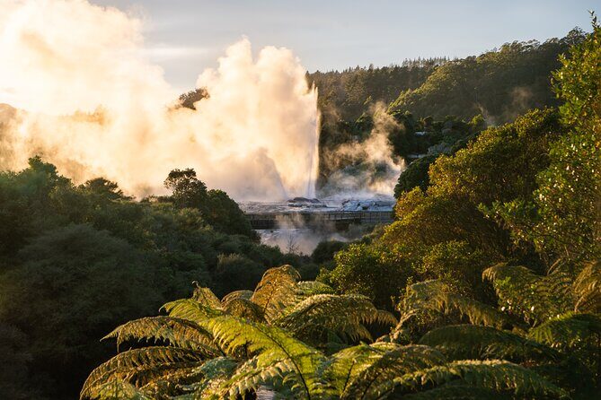 Te Puia Rotorua Experience with Optional Activities – Ex Auckland - Price and what $201.69 really covers