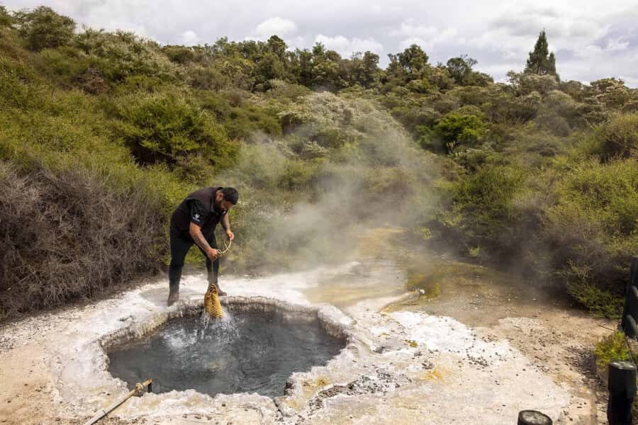 Te Puia: Tuku Iho Trail with Cultural Show - Price and what you actually get for $89