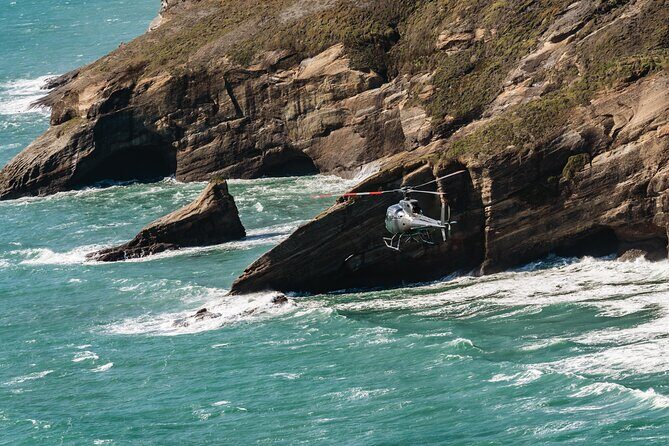 Te Tau Ihu West Coast Wilderness - Meet at Nelson Airport, then settle in for a half-day
