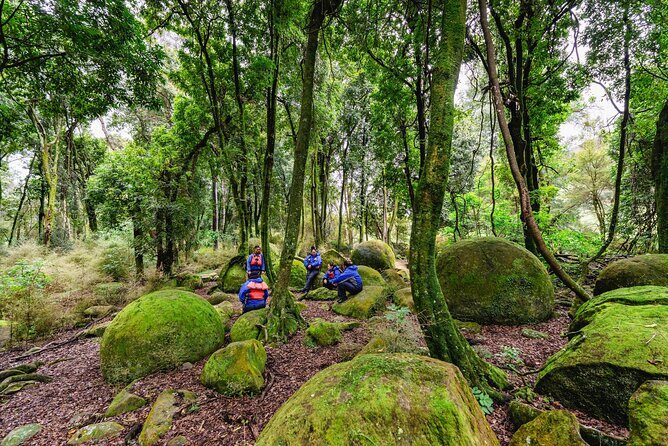 The Boulders Scenic Half Day Float on the Rangitikei River - Price and What You Really Get for Around $121