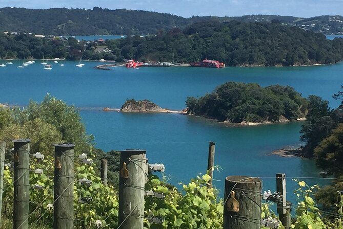 The Boutique Experience: Waiheke Best Cellar Tour (11 guests max) - What makes this Waiheke wine tour feel boutique (not bus-tour)