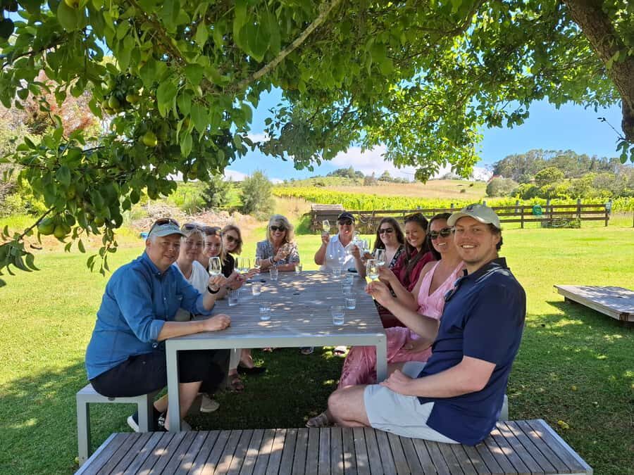 The Boutique Experience: Waiheke Island Best Cellar Tour - Waiheke Island wine tour timing: the ferry-to-vineyards flow