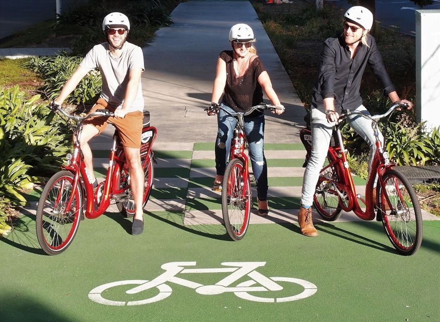 The Classic: Discover Amazing Auckland on an Electric Bike - What this costs ($107) and why it can be good value